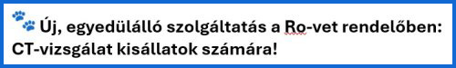 Új, egyedülálló szolgáltatás a Ro-vet rendelőben: CT-vizsgálat kisállatok számára!